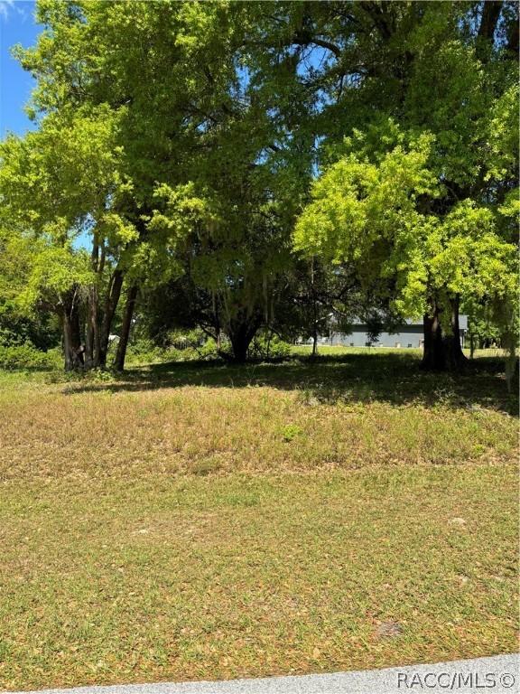 0 Oak Pointe Dr, Lady Lake, FL 32159 - photo 7