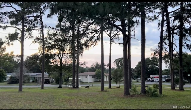 33 New York Blvd, Beverly Hills, FL 34465 - view of property's community with a yard