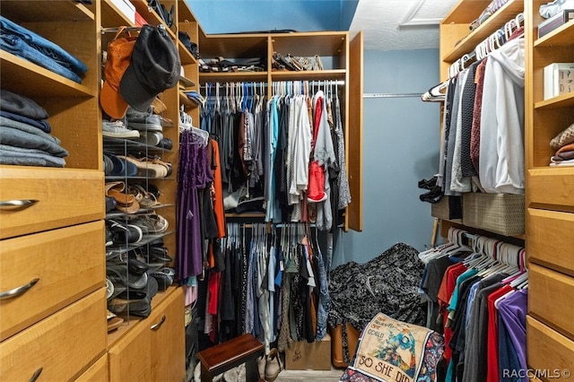 view of spacious closet