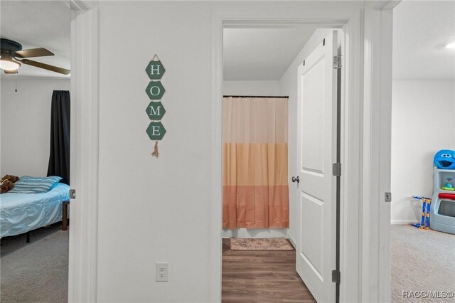 3192 W Barberton Pl, Citrus Springs, FL 34434 - hallway featuring carpet and baseboards