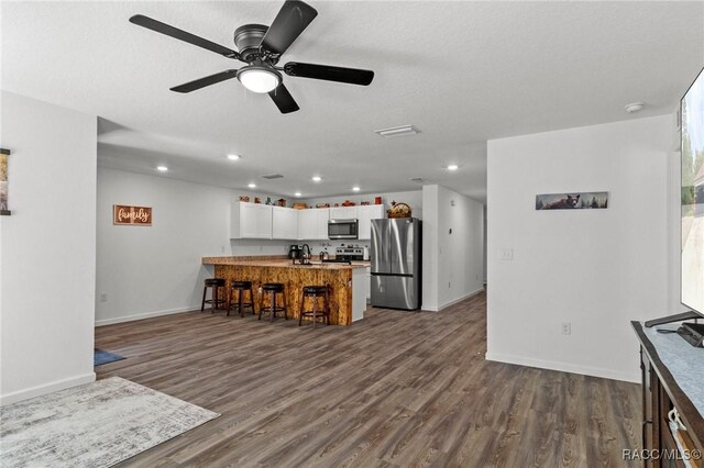 3192 W Barberton Pl, Citrus Springs, FL 34434 - kitchen featuring stainless steel appliances, a peninsula, open floor plan, dark wood-style floors, and recessed lighting