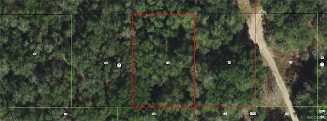 3011 Polk St W, Inverness FL, 34453 land for sale