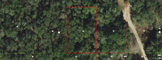 3011 Polk St W, Inverness, FL 34453 - photo 1