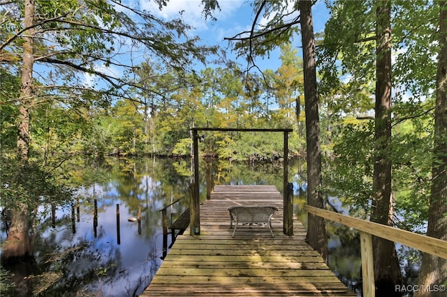 dock area with a water view