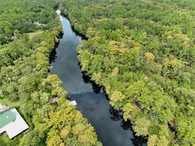 drone / aerial view with a water view and a view of trees