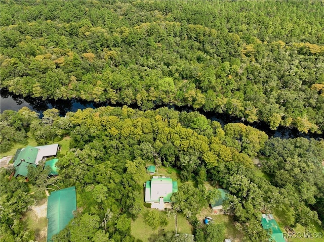 aerial view with a forest view