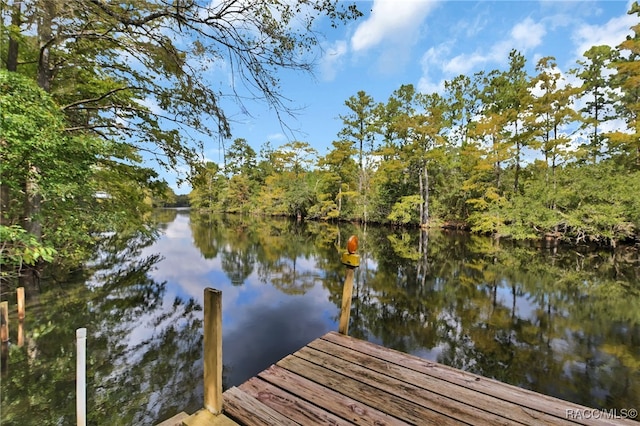 dock area with a water view