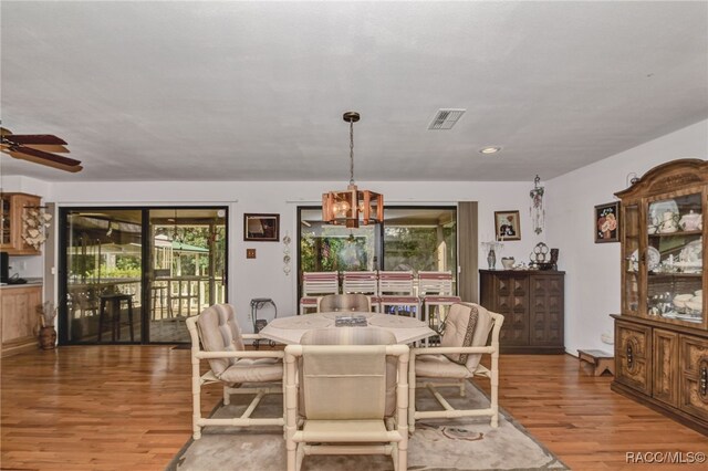 dining room with ceiling fan with notable chandelier, visible vents, and wood finished floors