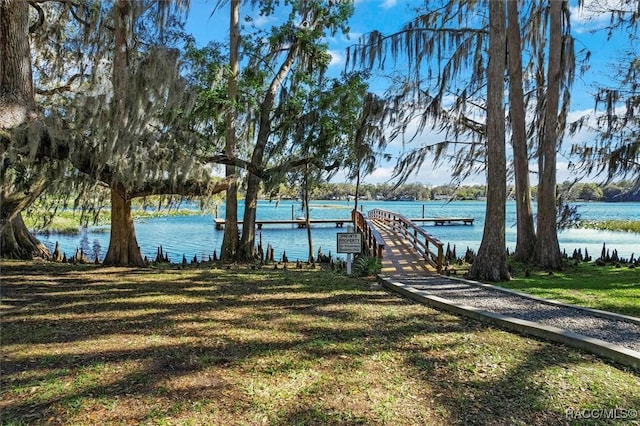 view of yard with a water view and a dock