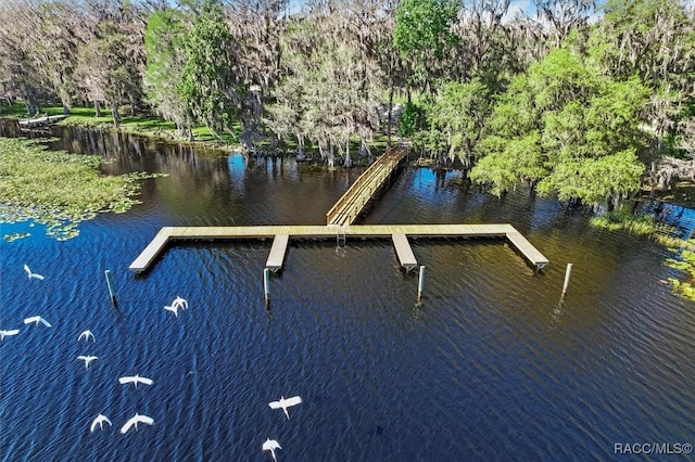 dock area featuring a water view