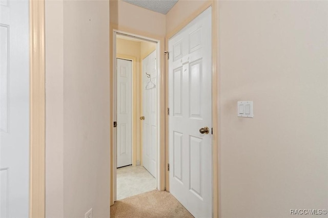 hall with carpet and a textured ceiling