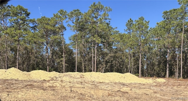 view of local wilderness