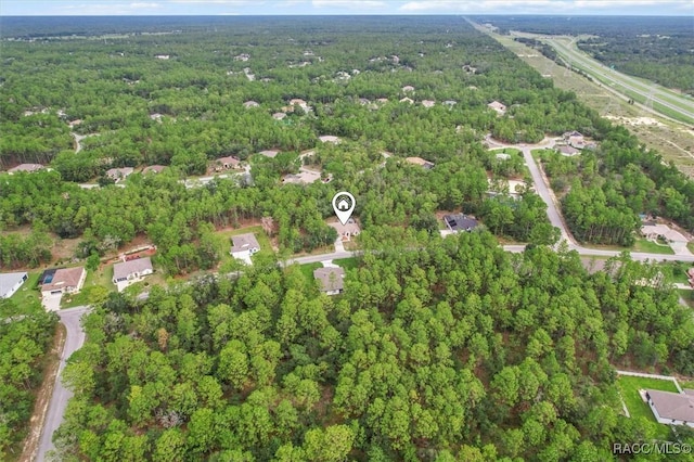 36 Fringetree St, Homosassa, FL 34446 - photo 38