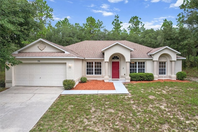 36 Fringetree St, Homosassa, FL 34446 - photo 1