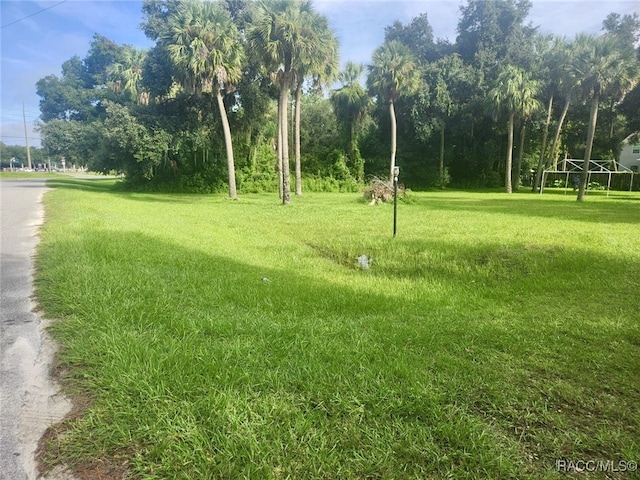 view of community featuring a yard