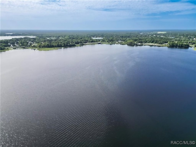 884 Pritchard Island Rd, Inverness, FL 34450 - photo 35