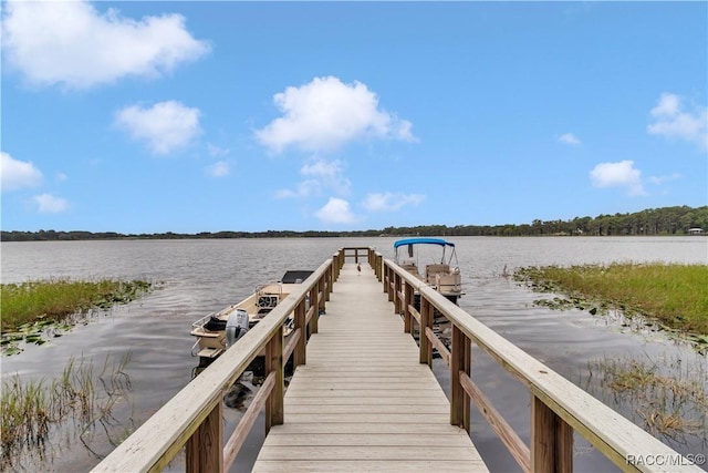884 Pritchard Island Rd, Inverness, FL 34450 - photo 32
