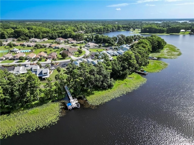 884 Pritchard Island Rd, Inverness, FL 34450 - photo 36