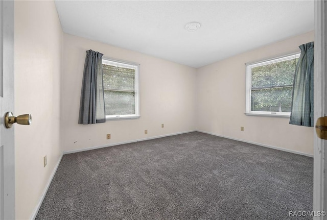 carpeted empty room with a wealth of natural light and baseboards