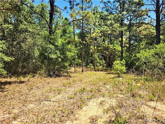 5089-5245 N Tanglewood Ave, Hernando, FL 34442