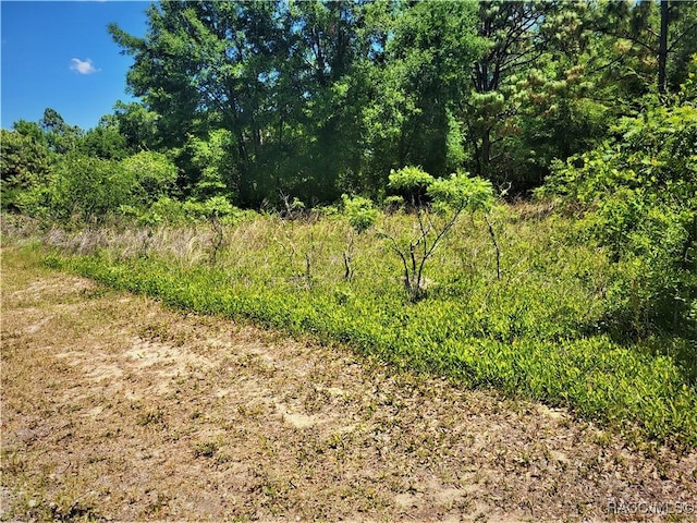 5089-5245 N Tanglewood Ave, Hernando, FL 34442