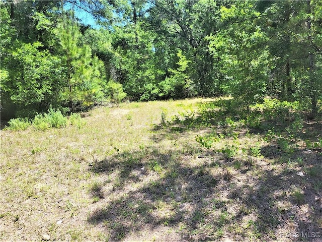 5089-5245 N Tanglewood Ave, Hernando, FL 34442