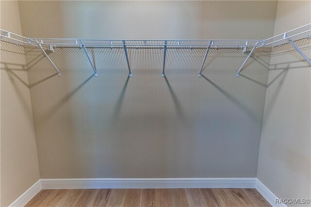 spacious closet with wood finished floors