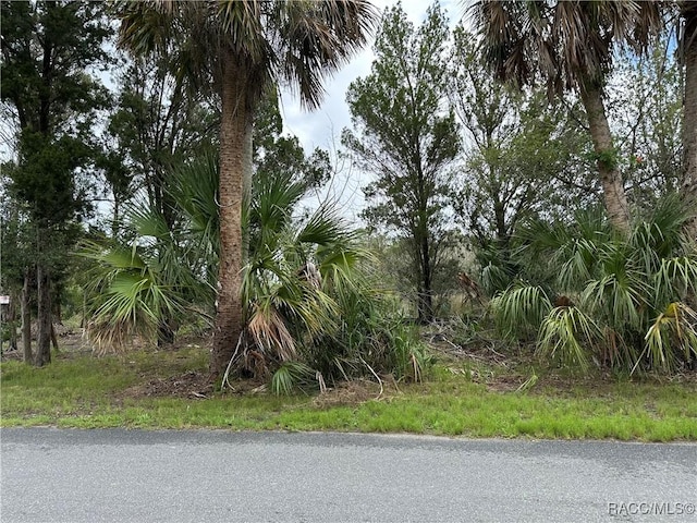 12345 W Standish Dr, Homosassa, FL 34448