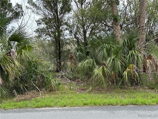 12345 W Standish Dr, Homosassa, FL 34448