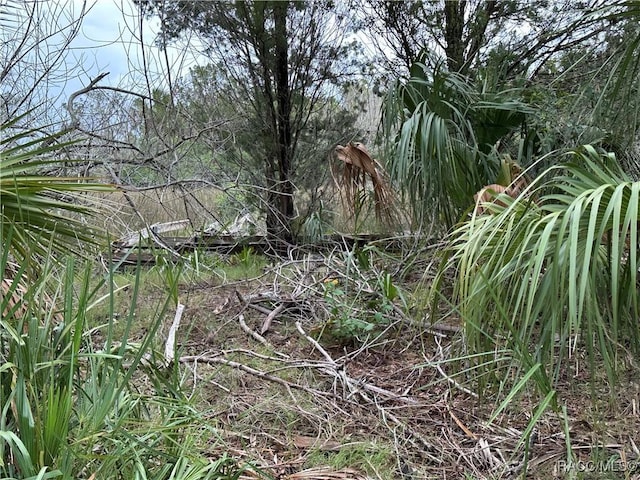 12345 W Standish Dr, Homosassa, FL 34448