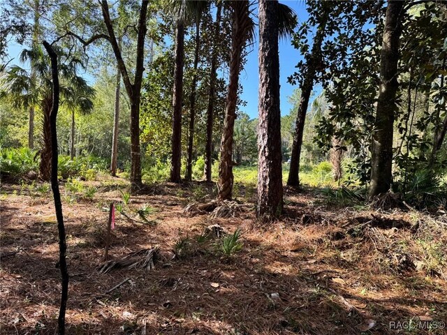 7897 W Stuart Ln, Homosassa, FL 34448 - photo 5