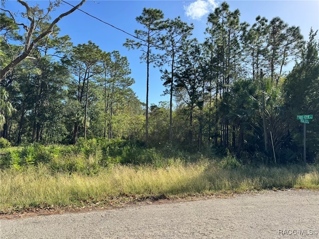 7897 W Stuart Ln, Homosassa FL, 34448 land for sale