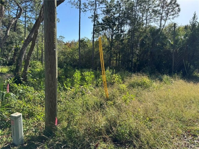 7897 W Stuart Ln, Homosassa, FL 34448 - photo 3