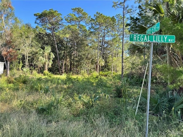 7897 W Stuart Ln, Homosassa, FL 34448 - photo 2
