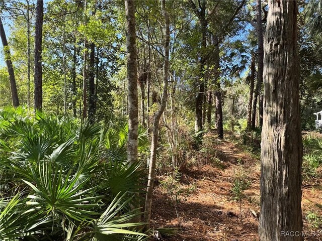 7897 W Stuart Ln, Homosassa, FL 34448 - photo 6
