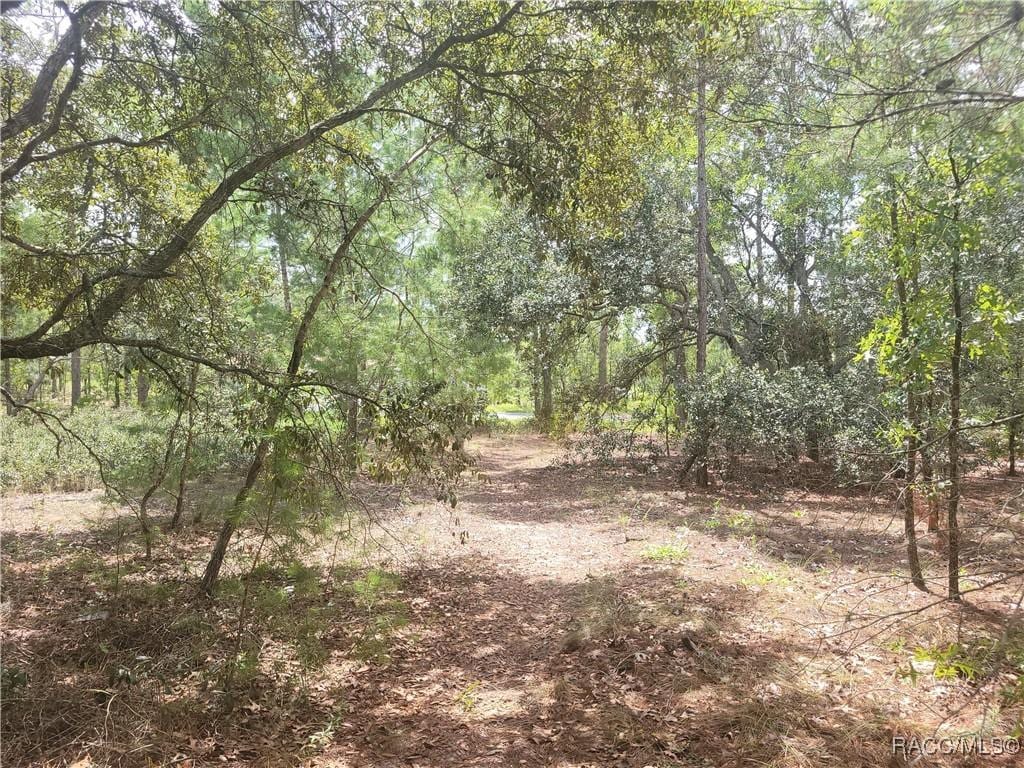 41 Boxleaf Ct, Homosassa, FL 34446 - photo 3