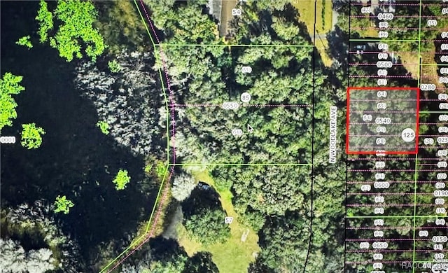 533 N Woodlake Ave, Inverness FL, 34453 land for sale