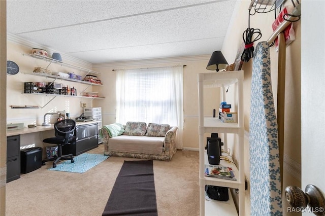 office with carpet flooring, crown molding, and a textured ceiling