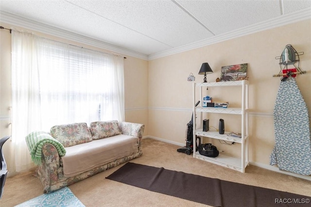 sitting room with carpet flooring, crown molding, and a textured ceiling