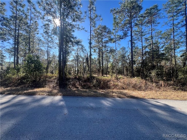 Address Not Disclosed, Dunnellon FL, 34431 land for sale