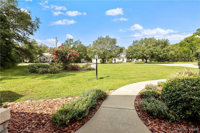5799 N Oakmont Dr, Beverly Hills, FL 34465 - surrounding community featuring a lawn