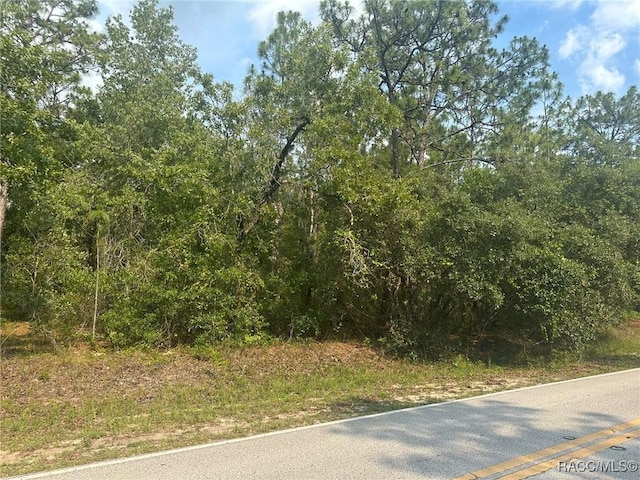 218 N Indianapolis Ave, Hernando, FL 34442