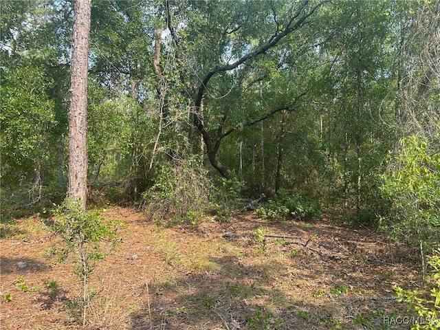 218 N Indianapolis Ave, Hernando, FL 34442