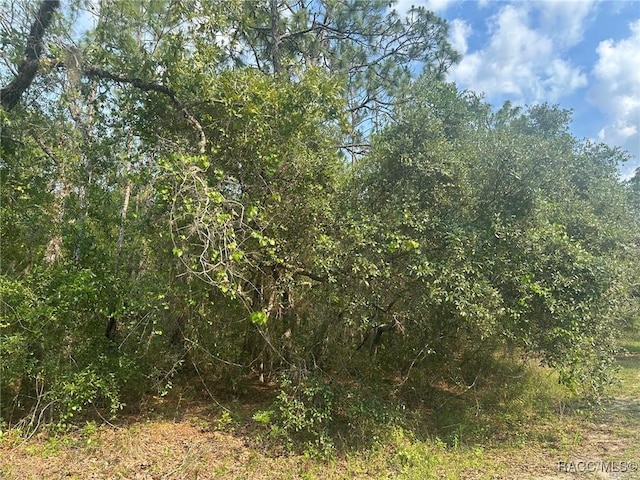 218 N Indianapolis Ave, Hernando, FL 34442