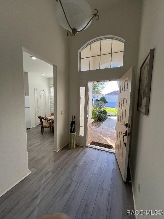 entrance foyer with a high ceiling and light hardwood / wood-style flooring