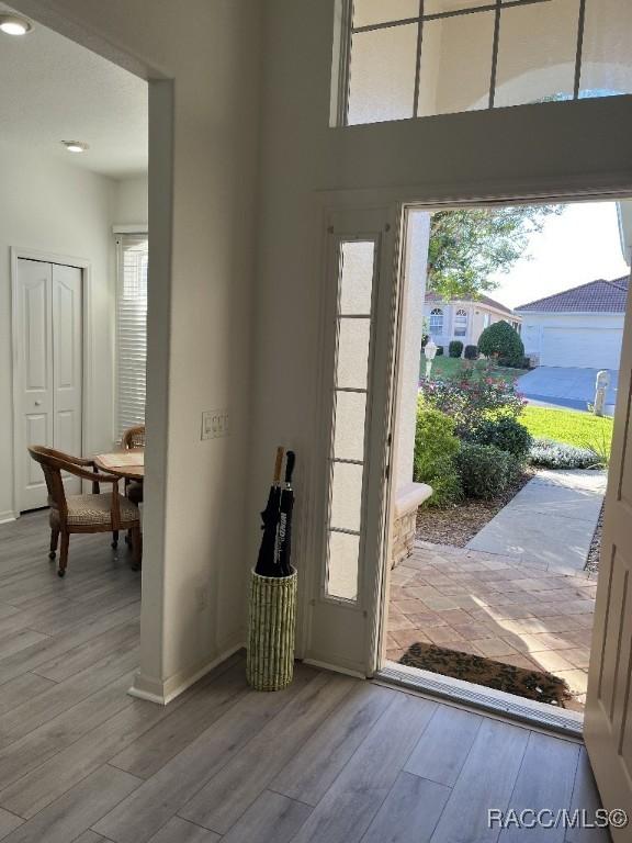 doorway featuring a healthy amount of sunlight and light hardwood / wood-style flooring