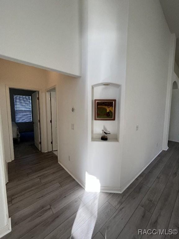 corridor featuring dark hardwood / wood-style flooring