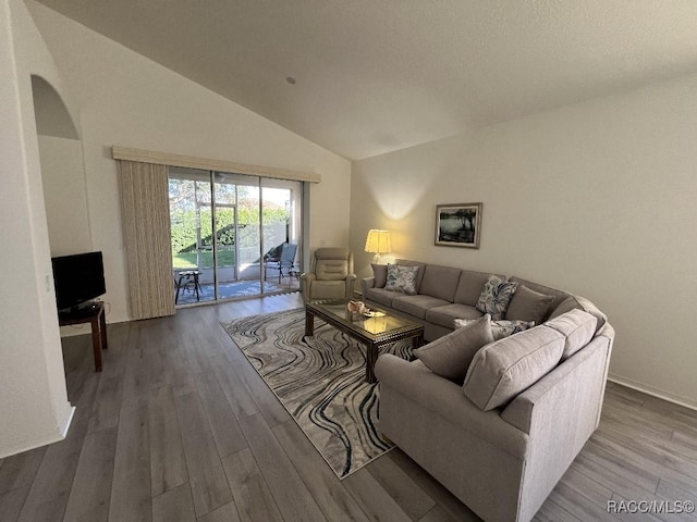 living room featuring wood-type flooring and vaulted ceiling