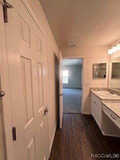 bathroom featuring vanity, wood-type flooring, and a textured ceiling