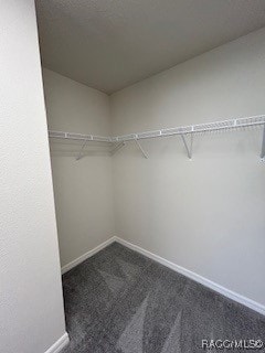 walk in closet featuring dark colored carpet